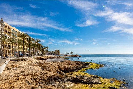 Revente - Attique - Torrevieja - Habaneras