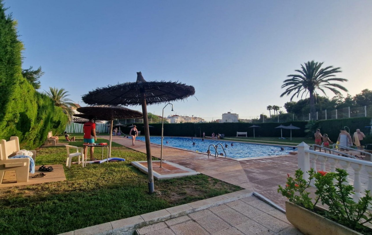 Revente - Bungalow - Torrevieja - Calas blanca