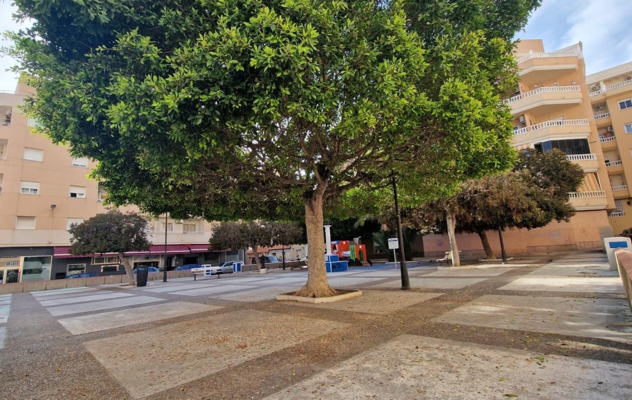 Resale - Lägenhet - Torrevieja - Centro