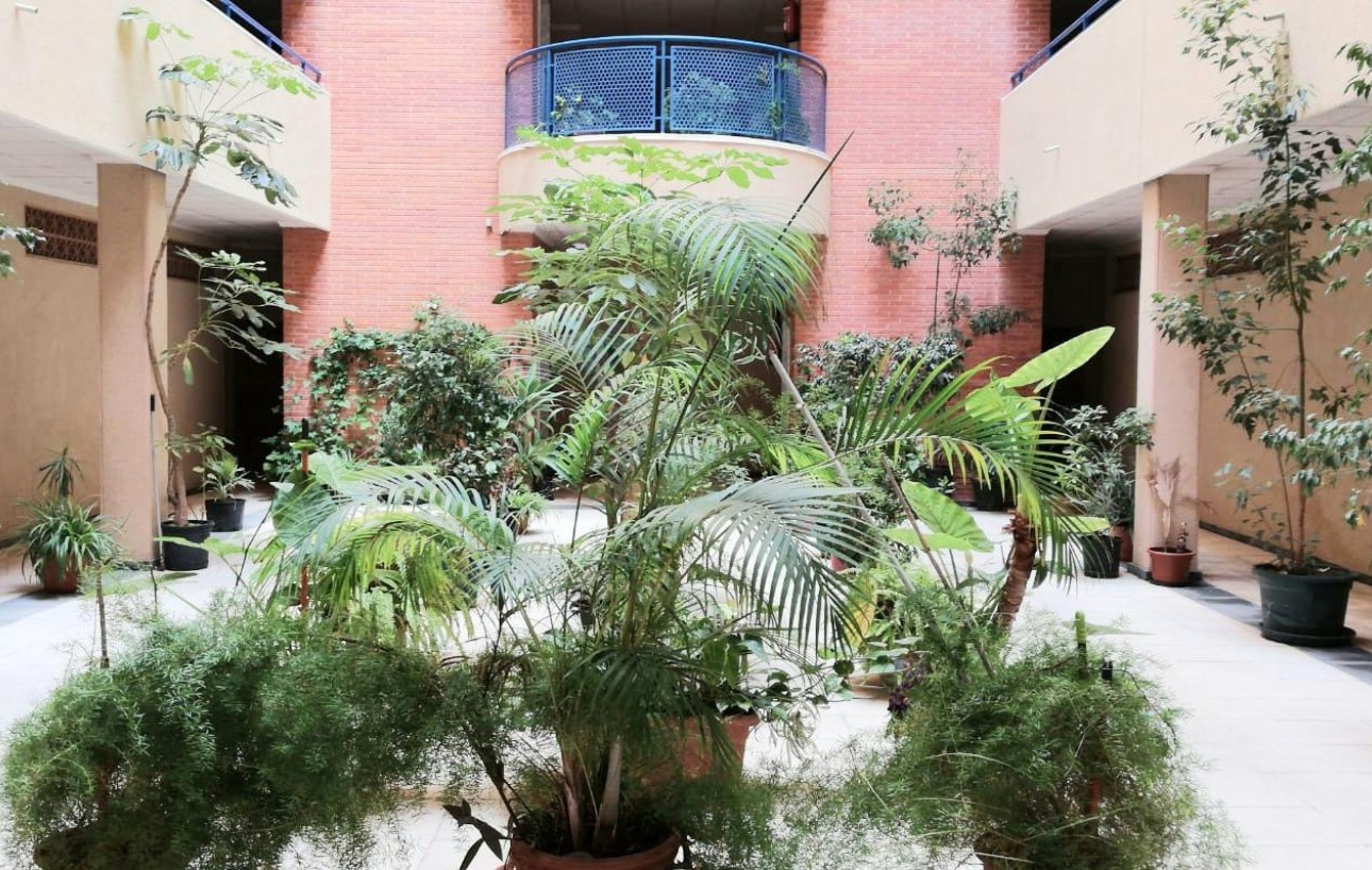 Revente - Appartement - Torrevieja - Acequion