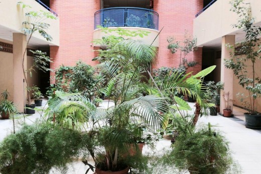 Revente - Appartement - Torrevieja - Acequion