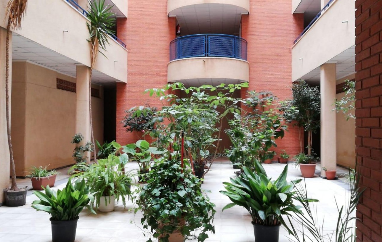 Revente - Appartement - Torrevieja - Acequion