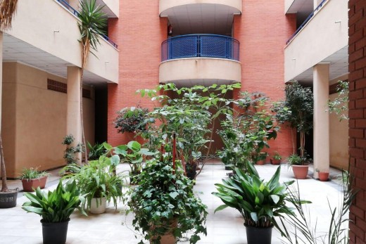 Revente - Appartement - Torrevieja - Acequion