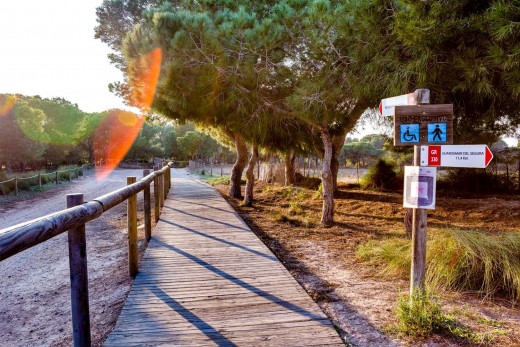Venta - Bungalow Planta Alta - Torrevieja - La Siesta - El Salado - Torreta