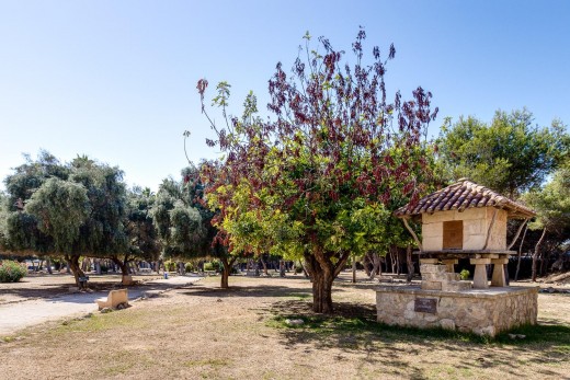 Venta - Apartamento - Torrevieja - El Acequión - Los Náufragos