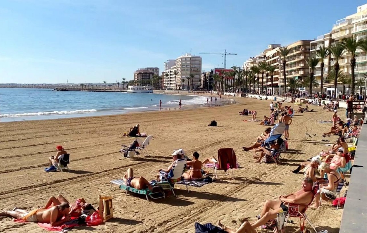 Venta - Apartamento - Torrevieja - Playa del cura