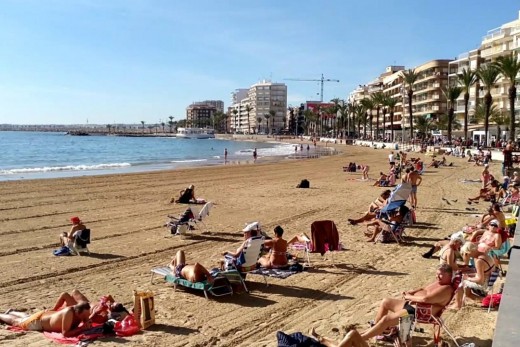 Venta - Apartamento - Torrevieja - Playa del cura