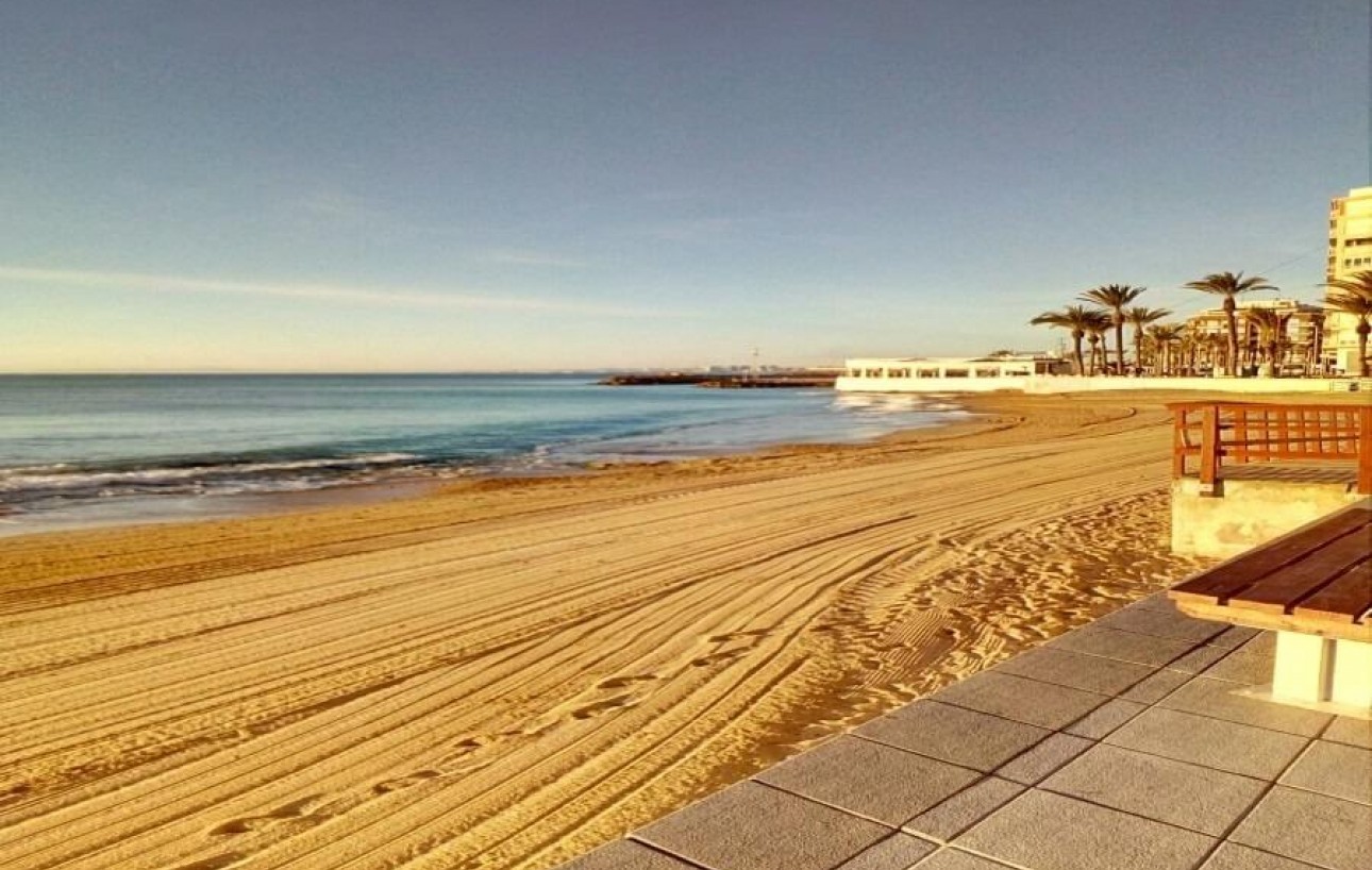 Venta - Apartamento - Torrevieja - Playa del cura