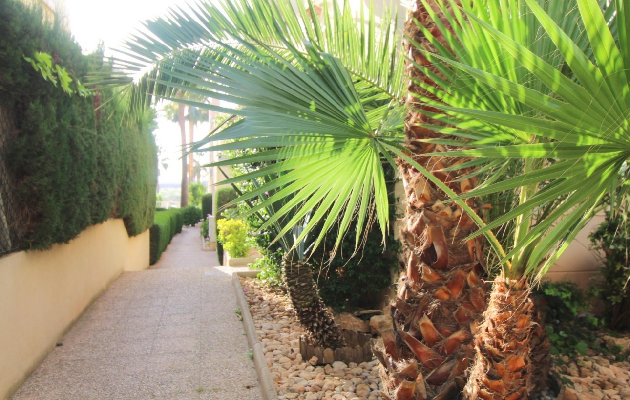 Venta - Apartamento - Torrevieja - La veleta