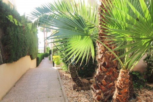 Venta - Apartamento - Torrevieja - La veleta